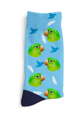 Personalizované ponožky - Vtáčik