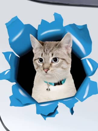 Personalizovaná nálepka na auto - Domáci miláčik